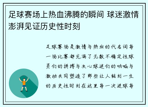 足球赛场上热血沸腾的瞬间 球迷激情澎湃见证历史性时刻