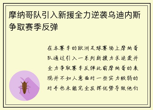 摩纳哥队引入新援全力逆袭乌迪内斯争取赛季反弹